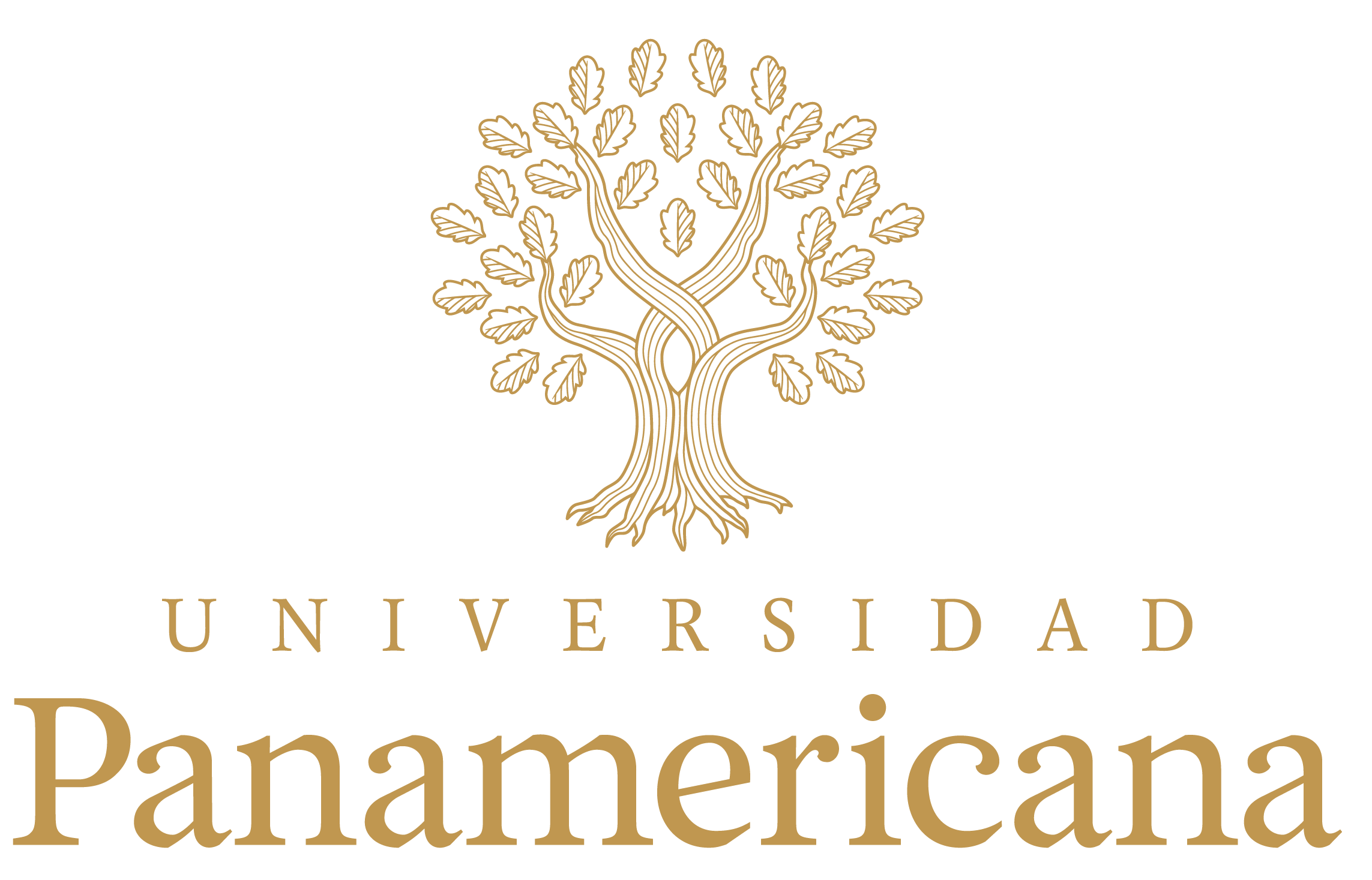 logo 6
